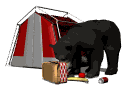blackbear_tent_picnic_a_mw.gif