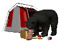 blackbear_tent_picnic_a_mc.gif