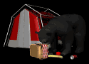 blackbear_tent_picnic_a_mb.gif