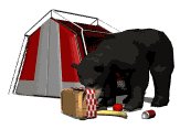 blackbear_tent_picnic_a_lw.gif