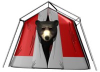 blackbear_tent_peekingout.jpg
