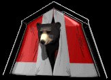 blackbear_tent_peekin_a_lc.gif