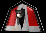 blackbear_tent_peekin_a_lb.gif