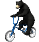blackbear5_ridingbicy_a_sc.gif