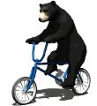 blackbear5_ridingbicy_a_mw.gif