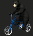 blackbear5_ridingbicy_a_mc.gif