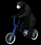 blackbear5_ridingbicy_a_lb.gif