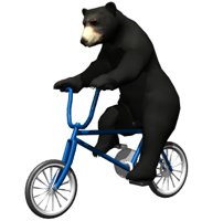 blackbear5_ridingbicy_a_hr.jpg