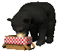 blackbear3_picnictime_sc.gif