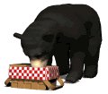 blackbear3_picnictime_mw.gif