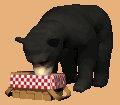 blackbear3_picnictime_mc.gif