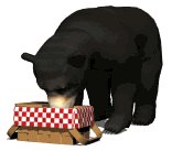 blackbear3_picnictime_lw.gif