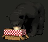 blackbear3_picnictime_lc.gif