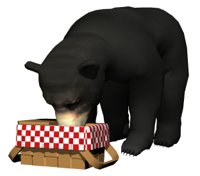blackbear3_picnictime_hr.jpg