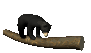 blackbear2_bouncinglog_sc.gif