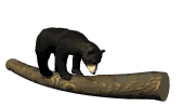 blackbear2_bouncinglog_lw.gif