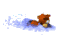 beaver_swimming_tw.gif