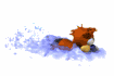beaver_swimming_sw.gif