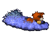 beaver_swimming_sc.gif