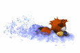 beaver_swimming_mw.gif