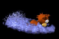 beaver_swimming_lb.gif
