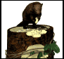 beaver_sitting_treetr_a_sw.gif