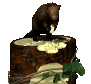beaver_sitting_treetr_a_sc.gif