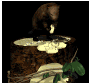 beaver_sitting_treetr_a_sb.gif