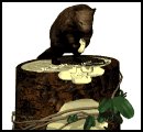beaver_sitting_treetr_a_mw.gif