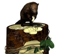 beaver_sitting_treetr_a_hr.jpg
