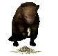 beaver_munchingwood_sc.gif