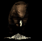 beaver_munchingwood_sb.gif