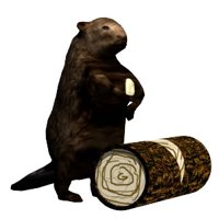 beaver_flippingwood_hr.jpg
