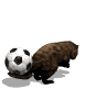 beaver_flippingsoccor_a_sw.gif