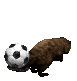 beaver_flippingsoccor_a_sc.gif