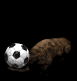beaver_flippingsoccor_a_sb.gif