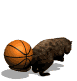 beaver2_flippingbaske_a_sw.gif