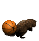 beaver2_flippingbaske_a_sc.gif