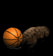 beaver2_flippingbaske_a_sb.gif