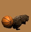 beaver2_flippingbaske_a_mc.gif