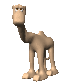 toon_camel_looking_sc.gif
