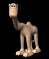 toon_camel_looking_mb.gif