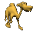jerry_camel_walking_sc.gif