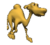 jerry_camel_walking_mc.gif