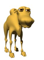 jerry_camel_chewing_hr.jpg