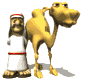 jerry_camel_and_arab__a_sw.gif