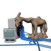 computer_camel_nuzzle_sw.gif