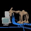 computer_camel_nuzzle_sc.gif
