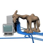 computer_camel_nuzzle_mw.gif
