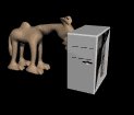 computer_camel_bug_bonk_sb.gif